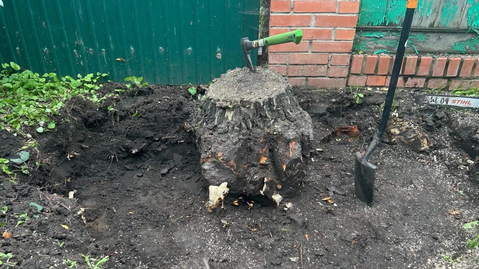 Выкорчевка пня
