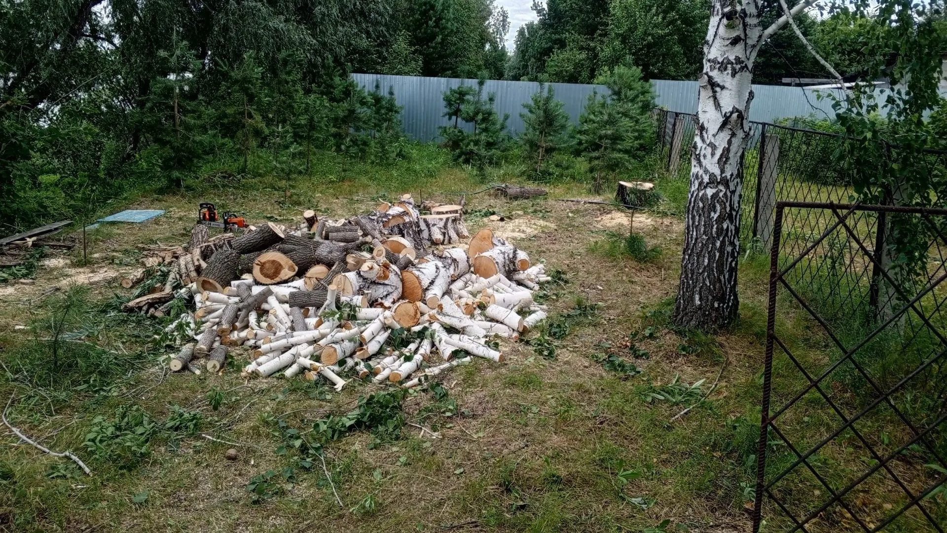 Заготовка дровишек на зиму