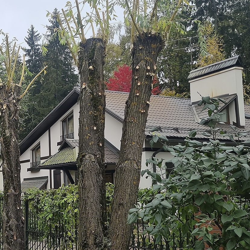 Омолаживание