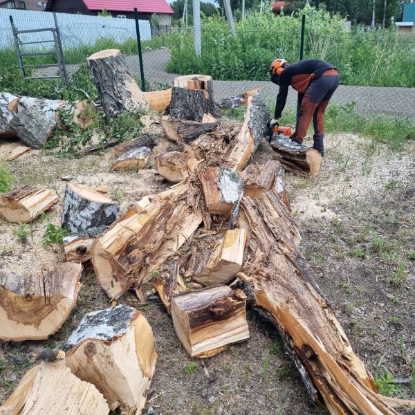 Спил аварийных деревьев